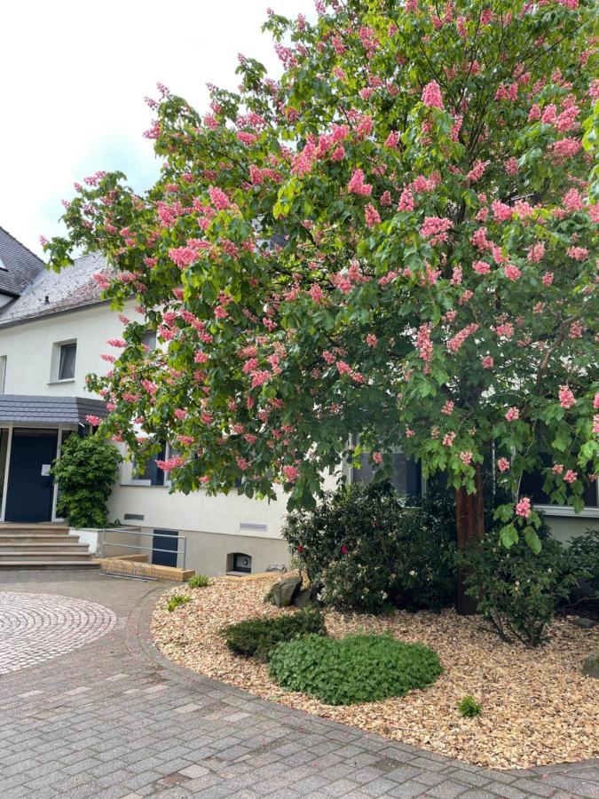 Hotel Luther Birke Wittenberg Eksteriør bilde