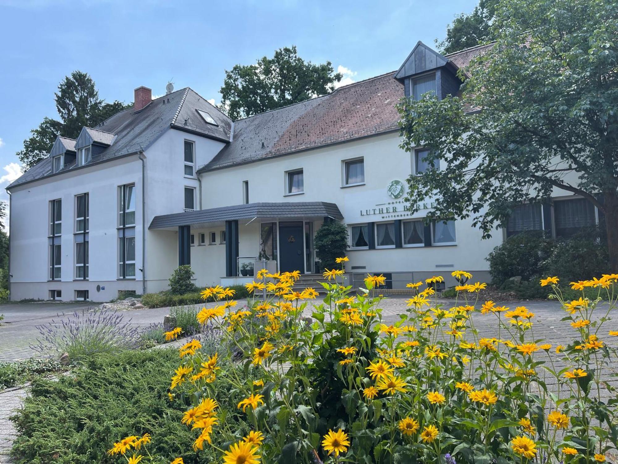 Hotel Luther Birke Wittenberg Eksteriør bilde